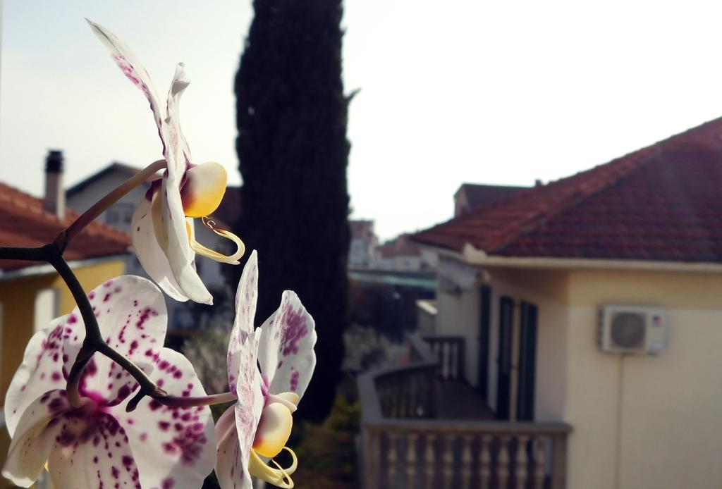 Luciana Appartement Zadar Buitenkant foto