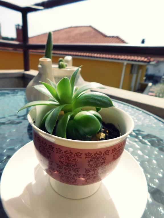 Luciana Appartement Zadar Buitenkant foto