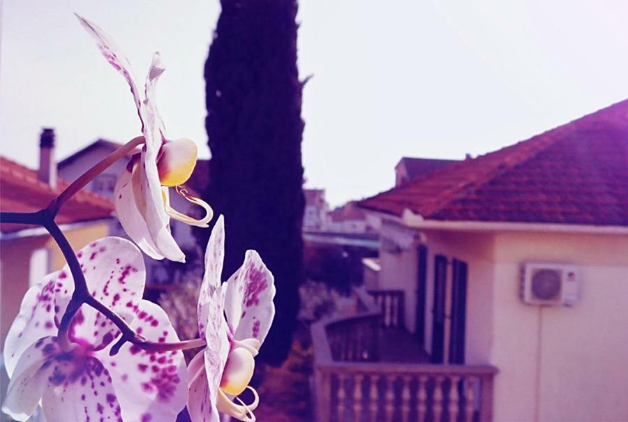 Luciana Appartement Zadar Buitenkant foto