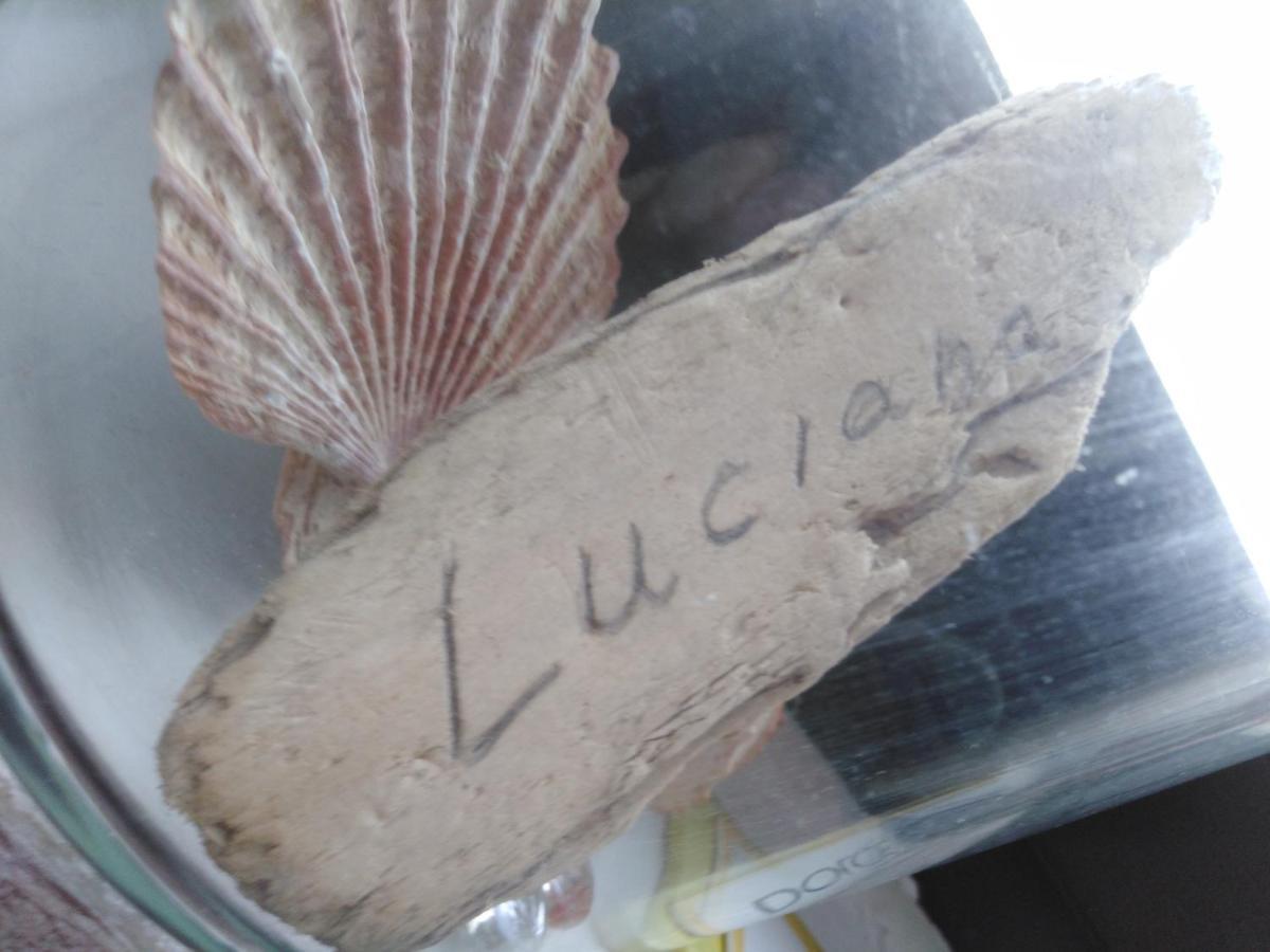 Luciana Appartement Zadar Buitenkant foto