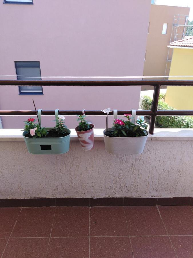 Luciana Appartement Zadar Buitenkant foto